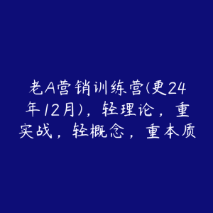 老A营销训练营(更24年12月)，轻理论，重实战，轻概念，重本质-51自学联盟