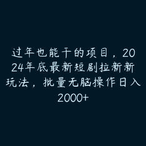 过年也能干的项目，2024年底最新短剧拉新新玩法，批量无脑操作日入2000+-51自学联盟