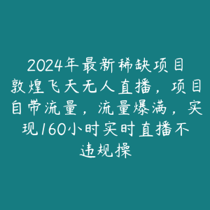 2024年最新稀缺项目敦煌飞天无人直播，项目自带流量，流量爆满，实现160小时实时直播不违规操-51自学联盟