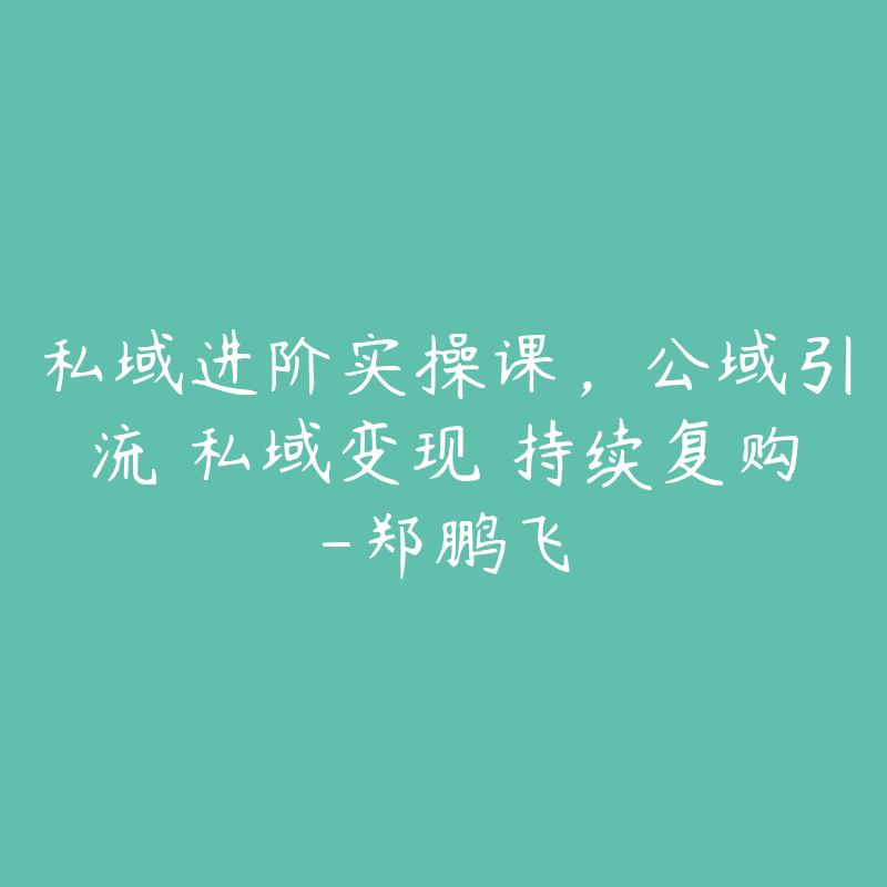 私域进阶实操课，公域引流 私域变现 持续复购-郑鹏飞-51自学联盟