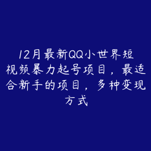 12月最新QQ小世界短视频暴力起号项目，最适合新手的项目，多种变现方式-51自学联盟