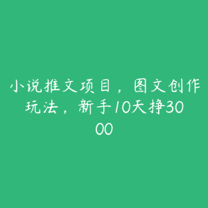 小说推文项目，图文创作玩法，新手10天挣3000-51自学联盟