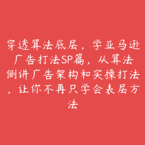 穿透算法底层，学亚马逊广告打法SP篇，从算法侧讲广告架构和实操打法，让你不再只学会表层方法-51自学联盟