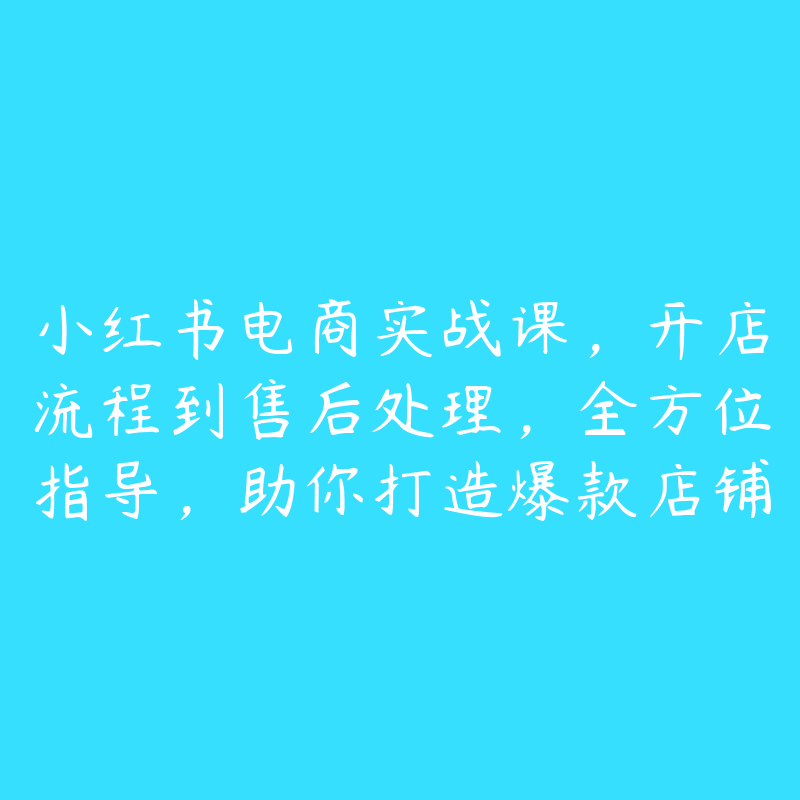 小红书电商实战课，开店流程到售后处理，全方位指导，助你打造爆款店铺-51自学联盟