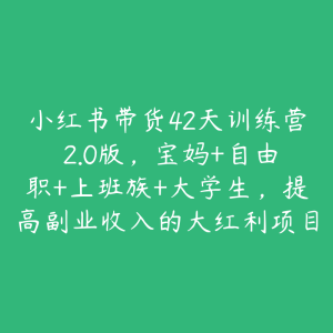 小红书带货42天训练营 2.0版，宝妈+自由职+上班族+大学生，提高副业收入的大红利项目-51自学联盟