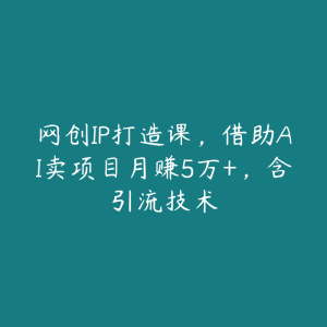 网创IP打造课，借助AI卖项目月赚5万+，含引流技术-51自学联盟