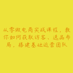 从零做电商实战课程，教你如何获取访客、选品布局，搭建基础运营团队-51自学联盟