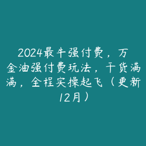 2024最牛强付费，万金油强付费玩法，干货满满，全程实操起飞（更新12月）-51自学联盟