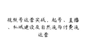 视频号运营实战，起号、直播、私域建设及自然流与付费流运营-51自学联盟