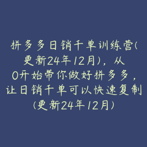 拼多多日销千单训练营(更新24年12月)，从0开始带你做好拼多多，让日销千单可以快速复制(更新24年12月)-51自学联盟