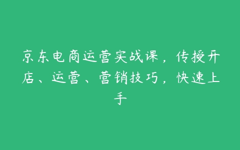 京东电商运营实战课，传授开店、运营、营销技巧，快速上手百度网盘下载