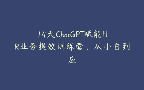 14天ChatGPT赋能HR业务提效训练营，从小白到应百度网盘下载