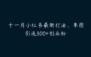 十一月小红书最新打法，单图引流300+创业粉-51自学联盟