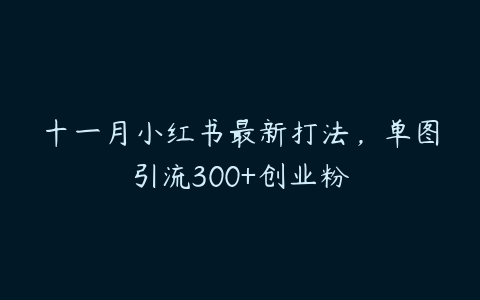 十一月小红书最新打法，单图引流300+创业粉百度网盘下载