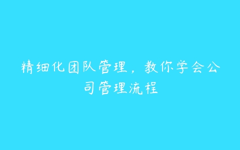 精细化团队管理，教你学会公司管理流程百度网盘下载