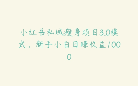 小红书私域瘦身项目3.0模式，新手小白日赚收益1000百度网盘下载