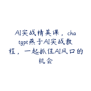 AI实战精英课，chatgpt燕子AI实战教程，一起抓住AI风口的机会-51自学联盟