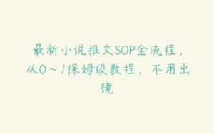 最新小说推文SOP全流程，从0~1保姆级教程，不用出镜-51自学联盟