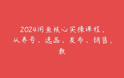 2024闲鱼核心实操课程，从养号、选品、发布、销售，教-51自学联盟