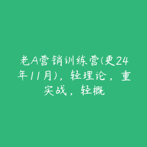 老A营销训练营(更24年11月)，轻理论，重实战，轻概-51自学联盟