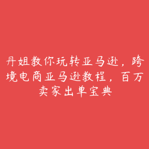 丹姐教你玩转亚马逊，跨境电商亚马逊教程，百万卖家出单宝典-51自学联盟