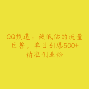 QQ频道：被低估的流量巨兽，单日引爆500+精准创业粉-51自学联盟