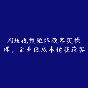 AI短视频矩阵获客实操课，企业低成本精准获客-51自学联盟