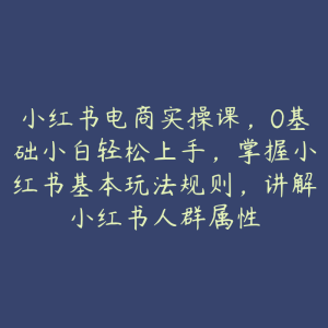 小红书电商实操课，0基础小白轻松上手，掌握小红书基本玩法规则，讲解小红书人群属性-51自学联盟