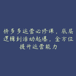 拼多多运营必修课，底层逻辑到活动起爆，全方位提升运营能力-51自学联盟