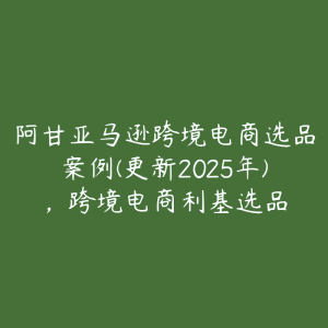 阿甘亚马逊跨境电商选品案例(更新2025年)，跨境电商利基选品-51自学联盟