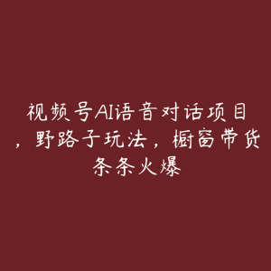 视频号AI语音对话项目，野路子玩法，橱窗带货条条火爆-51自学联盟