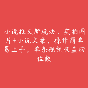 小说推文新玩法，实拍图片+小说文案，操作简单易上手，单条视频收益四位数-51自学联盟