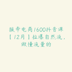 猴帝电商1600抖音课【12月】拉爆自然流，做懂流量的-51自学联盟