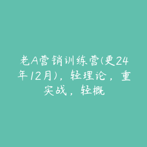 老A营销训练营(更24年12月)，轻理论，重实战，轻概-51自学联盟