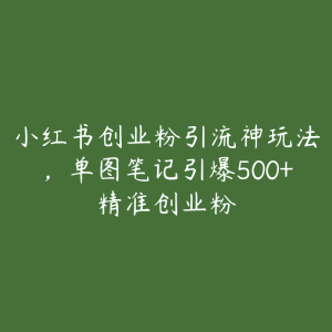 小红书创业粉引流神玩法，单图笔记引爆500+精准创业粉-51自学联盟