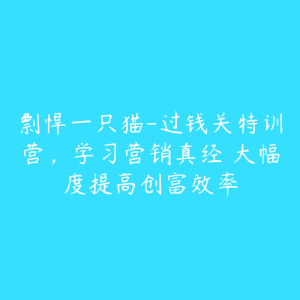 剽悍一只猫-过钱关特训营，学习营销真经 大幅度提高创富效率-51自学联盟