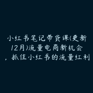 小红书笔记带货课(更新12月)流量电商新机会，抓住小红书的流量红利-51自学联盟