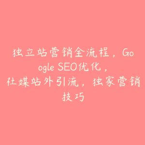 独立站营销全流程，Google SEO优化，社媒站外引流，独家营销技巧-51自学联盟