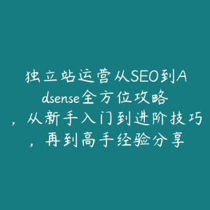 独立站运营从SEO到Adsense全方位攻略，从新手入门到进阶技巧，再到高手经验分享-51自学联盟