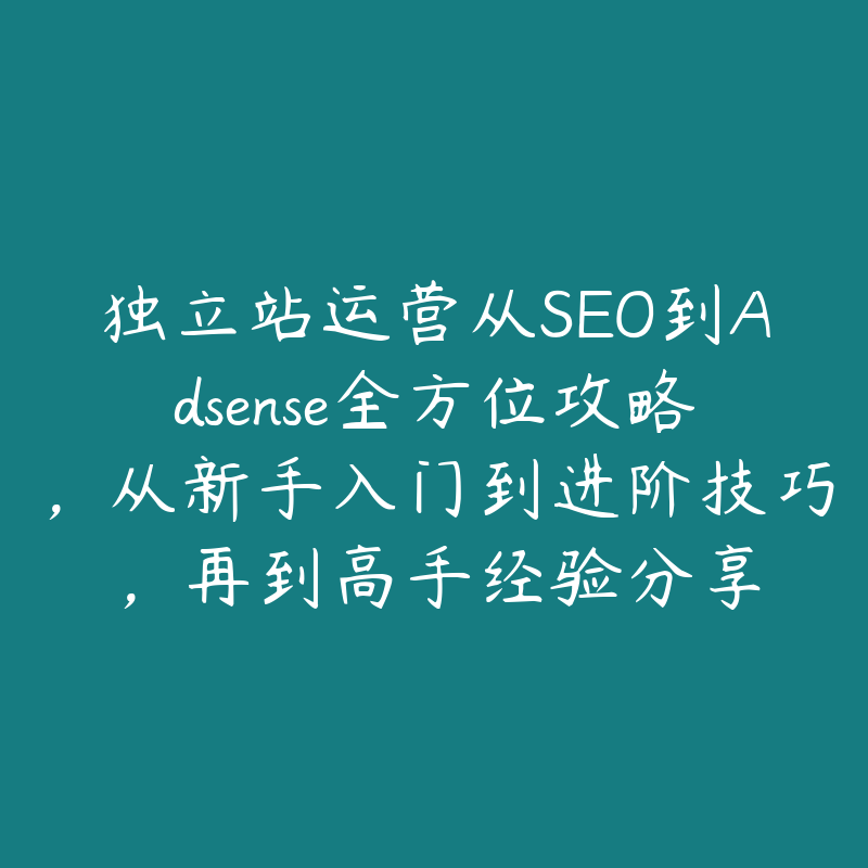 独立站运营从SEO到Adsense全方位攻略，从新手入门到进阶技巧，再到高手经验分享-51自学联盟