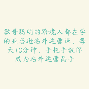 敏哥聪明的跨境人都在学的亚马逊站外运营课，每天10分钟，手把手教你成为站外运营高手-51自学联盟