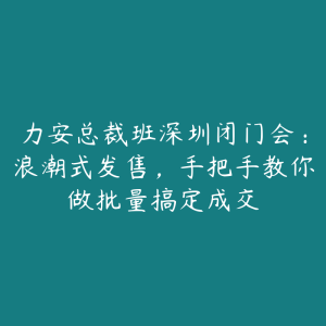 力安总裁班深圳闭门会：浪潮式发售，手把手教你做批量搞定成交-51自学联盟