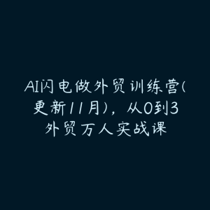 AI闪电做外贸训练营(更新11月)，从0到3外贸万人实战课-51自学联盟