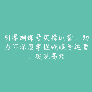 引爆蝴蝶号实操运营，助力你深度掌握蝴蝶号运营，实现高效-51自学联盟