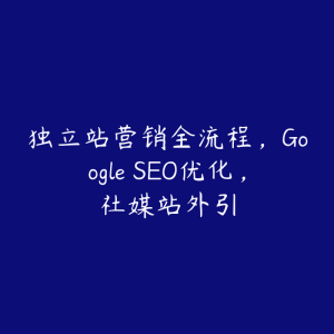 独立站营销全流程，Google SEO优化，社媒站外引-51自学联盟