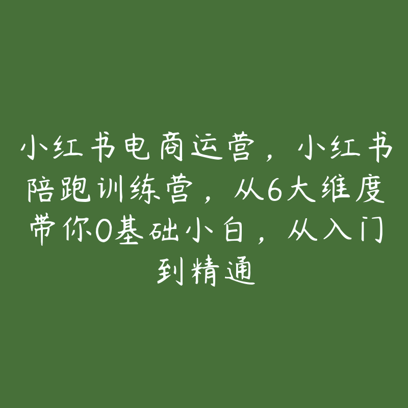 小红书电商运营，小红书陪跑训练营，从6大维度带你0基础小白，从入门到精通-51自学联盟