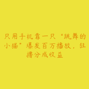 只用手机靠一只“跳舞的小猫”爆发百万播放,狂撸分成收益-51自学联盟