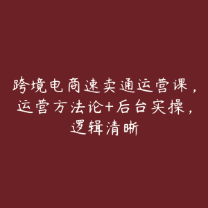 跨境电商速卖通运营课，运营方法论+后台实操，逻辑清晰-51自学联盟