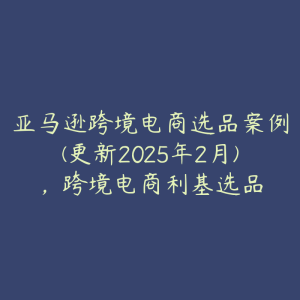 亚马逊跨境电商选品案例(更新2025年2月)，跨境电商利基选品-51自学联盟