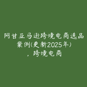 阿甘亚马逊跨境电商选品案例(更新2025年)，跨境电商-51自学联盟